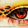 Leopard's eye