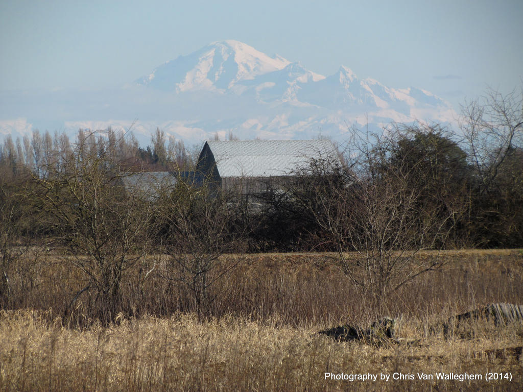 Mount Baker from a Distance