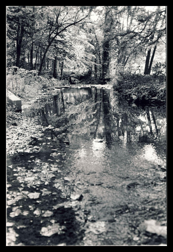 Reflective stream by B-Anewera on DeviantArt
