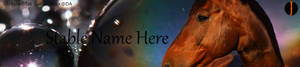 Bay Premade Stable Banner