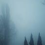 Fog2