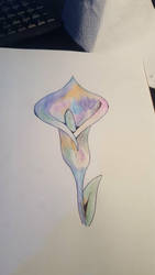 Watercolor lily