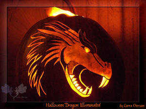 Halloween Dragon illuminated