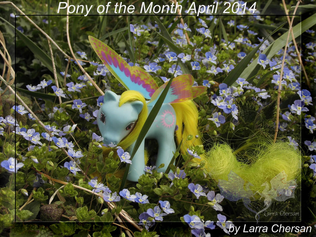 Pony of the Month April 2014