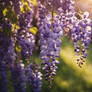 Wisteria over meadow wallpaper photorealistic