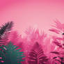 Pink vaporwave wallpaper nature
