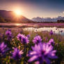 Purple wildflowers in meadow nature wallpaper