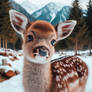 baby deer in the snow cute animal