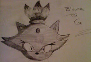 Sketch of Blaze the Cat