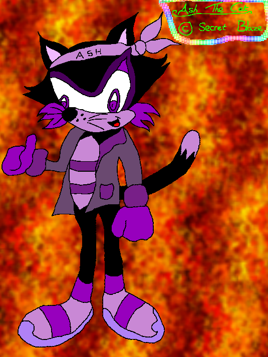 Ash the Cat by Secret-Blaze on DeviantArt