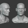 Head anatomy and sculpting course. Chapter 02