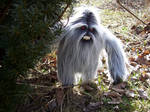 Yeti Doll by mostlymade