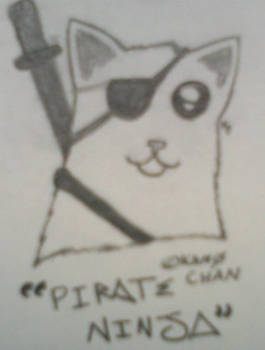 Pirate Ninja Cat