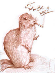 DeviantSQUIRREL