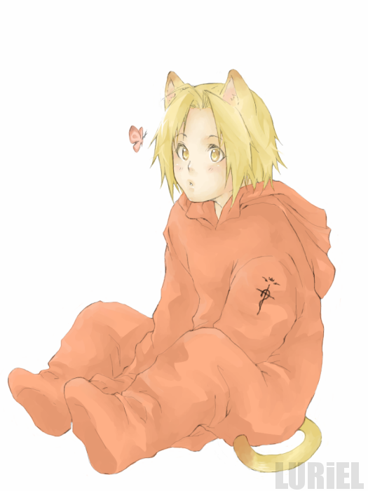 Butterchu - FMA