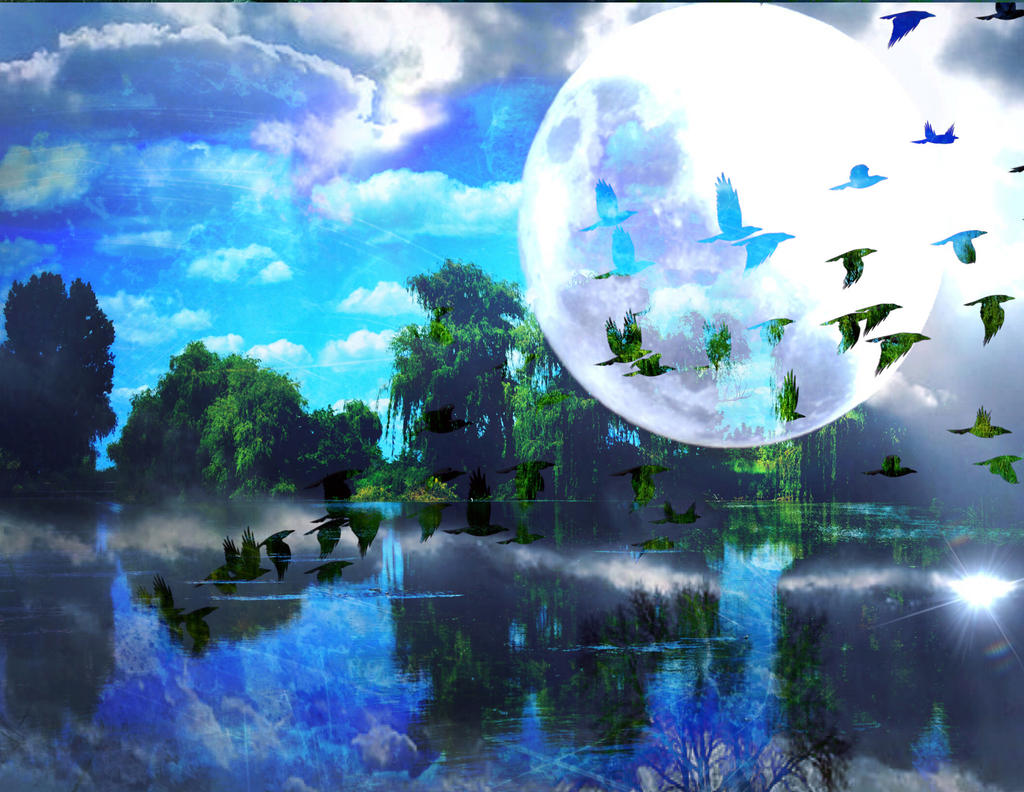 Premade Background 11