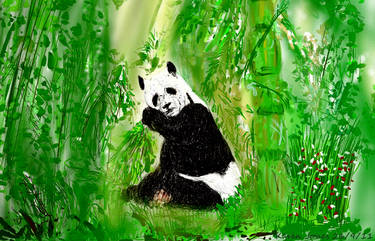 Bamboo Panda