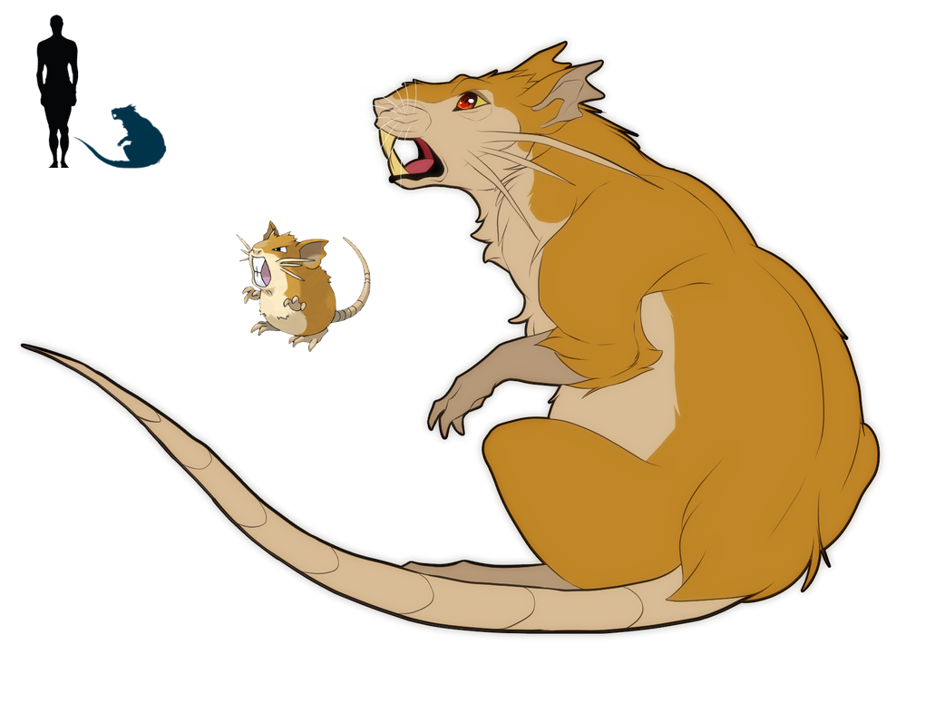 Raticate by blueharuka on DeviantArt