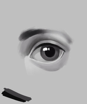 Eye Study