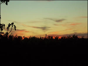 Countryside Evening