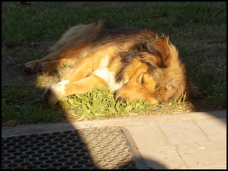 He loves the sun