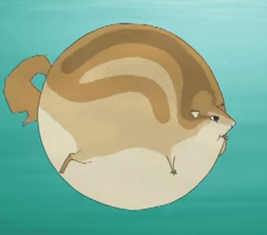 Undersea Inflation Squirrel underwater inflation by fghgfdghgfghj on DeviantArt