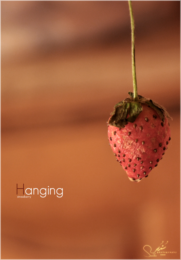 Hanging strawberry