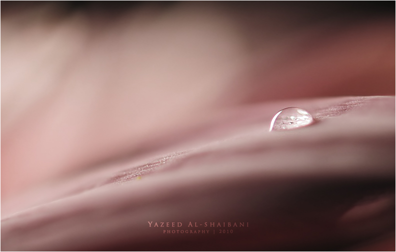 Droplet