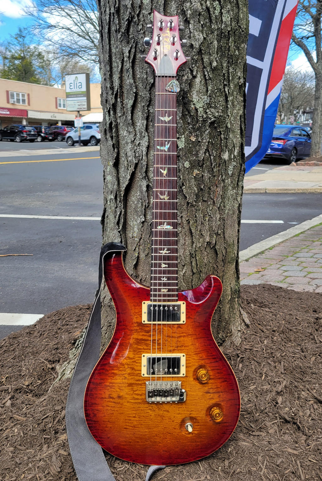Quick pic. Just because. | Official PRS Guitars Forum
