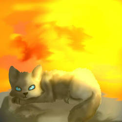 stormfur (warrior cats)