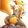 Sexy Renamon