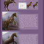 Horse Prep Tutorial