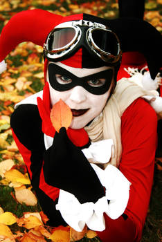 Harley Quinn