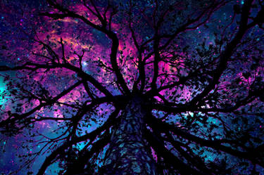 Universe nebulae tree