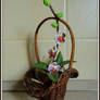orchid in a basket