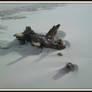 tree limb on the beach