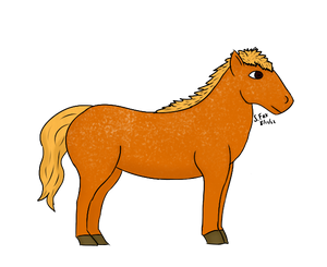 I drawed a horsie