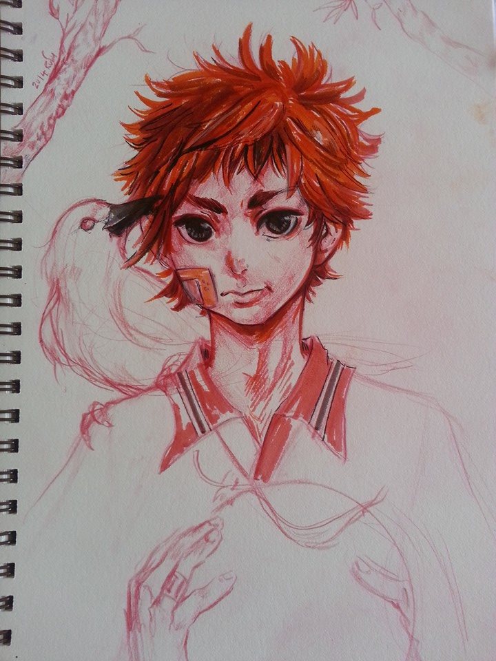 Haikyuu Hinata