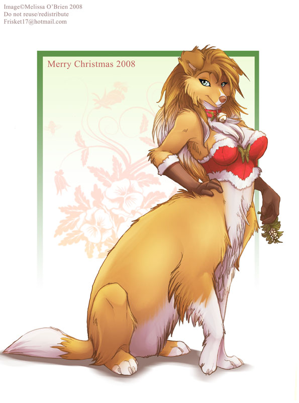 Collietaur with Mistletoe