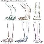 Dragon Feet Study