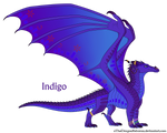 Indigo by xTheDragonRebornx