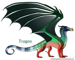 Trogon Ref by xTheDragonRebornx