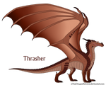 Thrasher Ref by xTheDragonRebornx