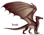 Sough Ref by xTheDragonRebornx