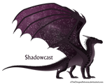 Shadowcast Ref by xTheDragonRebornx