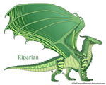 Riparian Ref by xTheDragonRebornx