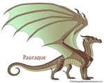 Pauraque Ref by xTheDragonRebornx