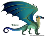 Motmot Ref by xTheDragonRebornx