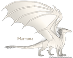 Marmota Ref by xTheDragonRebornx