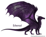 Ethereal Ref by xTheDragonRebornx